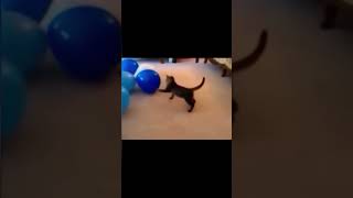 Viral thing #funny