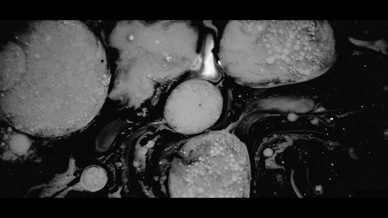 Kill Phollins - Kilimanjaro 28-01-2024 (Official Live Video)