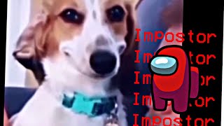 Download Lagu Sus Dog x among us theme song (Super Sus) MP3