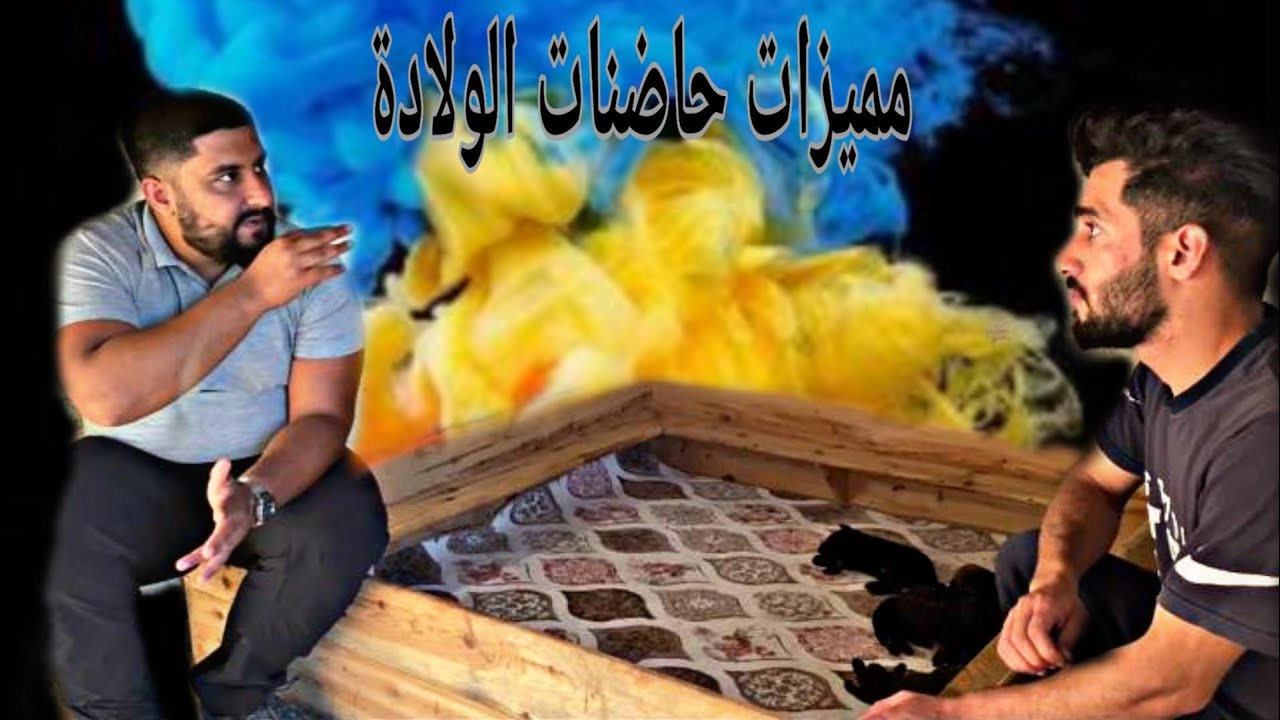 الحلقة الاولى غرف و حاضنات الولادة للكلاب