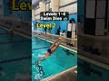 How To Dive for Swimming (Levels 1-4)