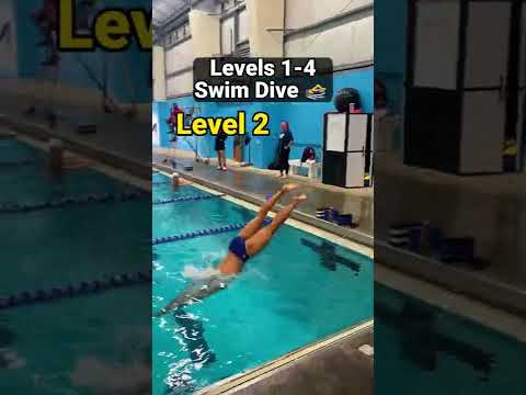 How To Dive for Swimming (Levels 1-4)