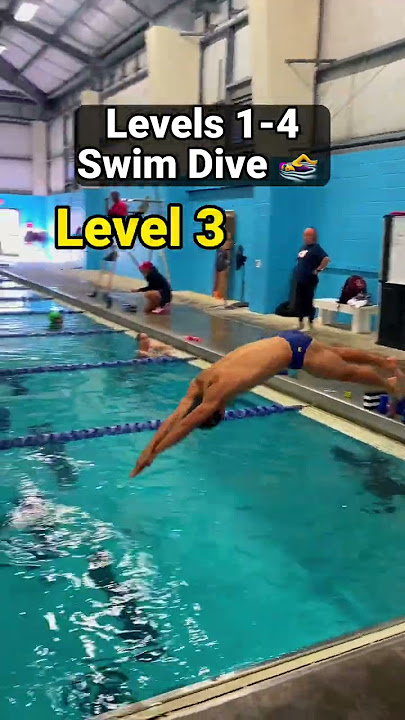 How To Dive for Swimming (Levels 1-4)