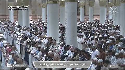 صلاة المغرب للشيخ أ.د. #محمد_برهجي الثلاثاء 14 ذو الحجة 1446هـ من سورة سبأ 10-19 #المسجد_النبوي