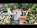 Garden FL TV | Episode #19 'Pine Island Fruit, Vuon Trai Cay La Vang, Fruitscapes, John Painters'