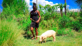 How To Prepare A Pig In African Homevillage Life