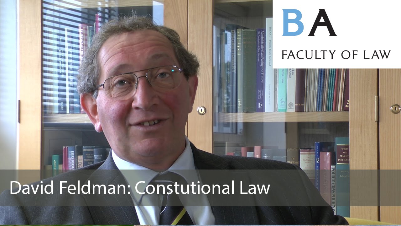 David Feldman Constitutional Law YouTube