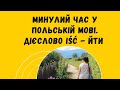 Минулий час у польській мові. Дієслово Iść - йти