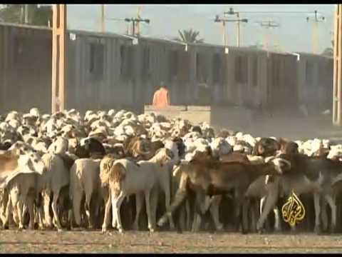 اقتصاد هذا الصباح 25/10/2011