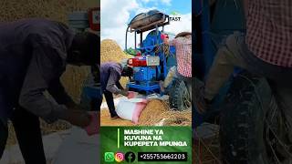 Teknolojia ya kuvuna mpunga na mashine bora kutoka TAST, Paddy thresher Machine#tanzania #tast#short