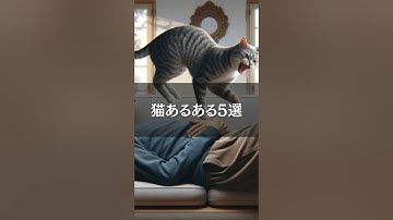 猫あるある5選 #ai #chatgpt #生成ai #豆知識 #雑学 #猫あるある