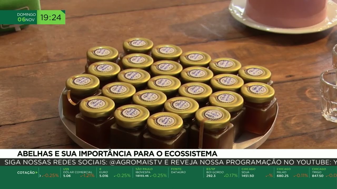 Abelhas e sua importância para o ecossistema