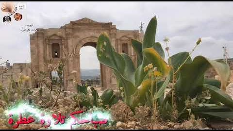 ووهبنا لداود سليمان نعم العبد إنه أواب - تلاوة هادئه