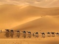 Изображение-превью для видео Eat Static - Follow That Camel