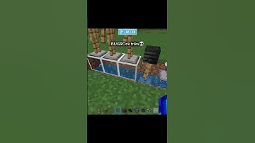 #minecraft #dragon #minecraft