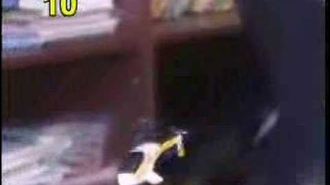 Silverlit HoneyBee Picco Z