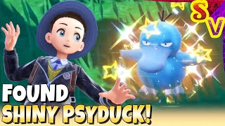 Shiny Psyduck Found in Mass Outbreak! Live Shiny Reaction in Pokemon Violet