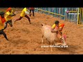 2023 பூலாம்பட்டி ஜல்லிக்கட்டு Part 2-2 | POOLAMPATTY JALLIKATTU | Thangam Jallikkattu tv