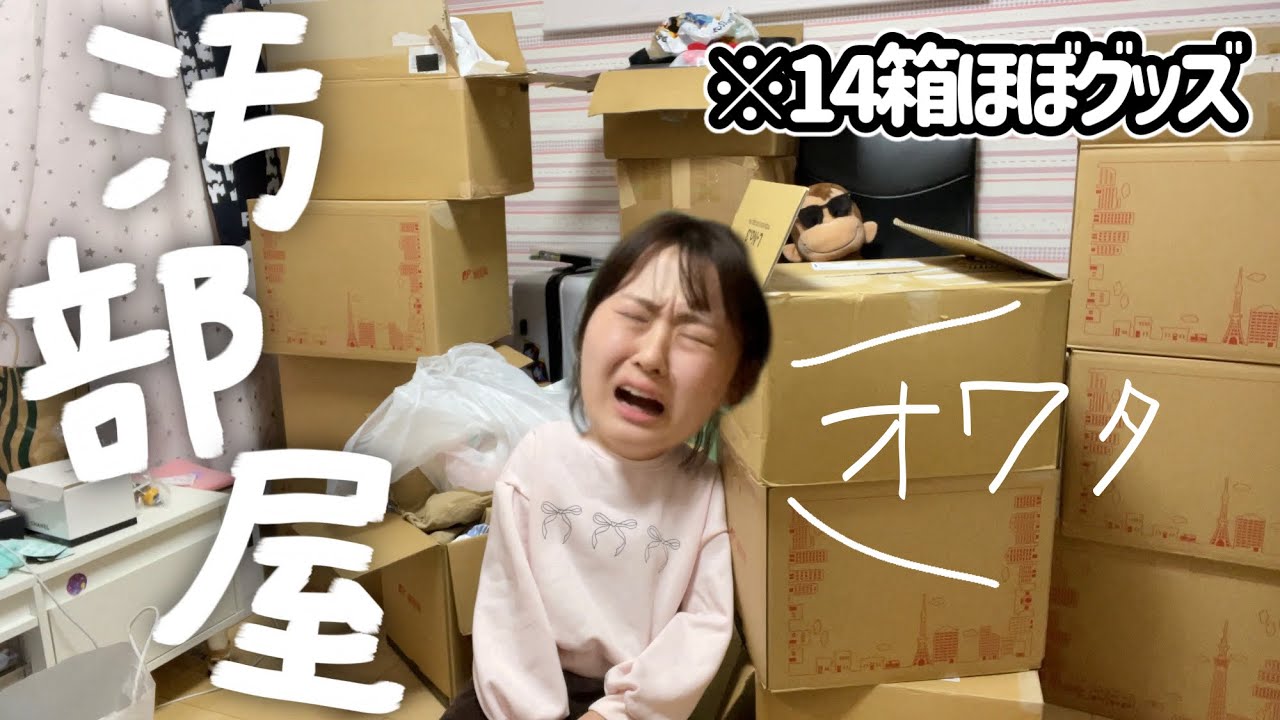 【汚部屋掃除】自分の部屋がダンボール屋敷になりました助けてwwwww