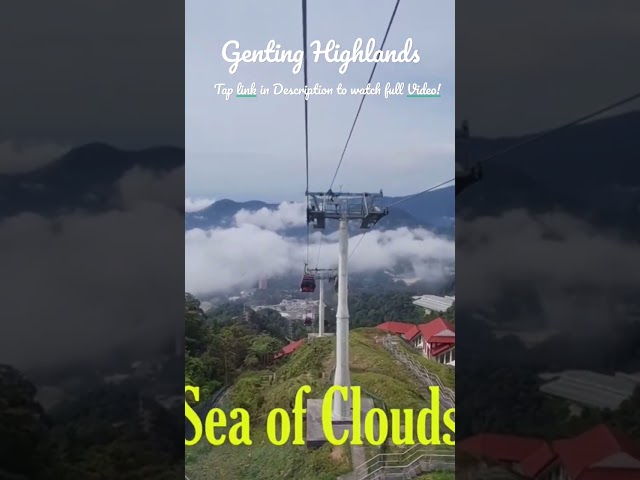 Unbelievable! See the Sea of Clouds at Genting Highlands... Without Leaving 2023! 🥰#shorts class=