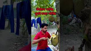 কাঁঠাল খাচ্ছি খুব মজা পাচ্ছি #কাঁঠাল #shorts  #viral @dhallywoodshooting