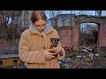 Tiny Stray Puppy Raised by Cats at Cat’s Colony