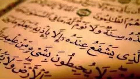 الشيخ وليد مهساس (سورة الفاتحة مع أواخر سورة البقرة )إبداع
