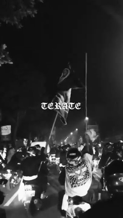 Story Wa Psht // Telah Lahir Saudara Baru