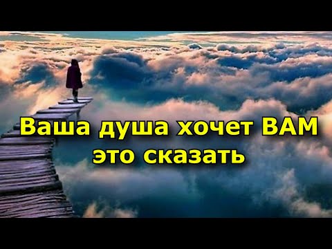 40 вещей, которые хочет сказать ваша душа.
