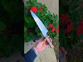 Classic Chef knife in AEB-L