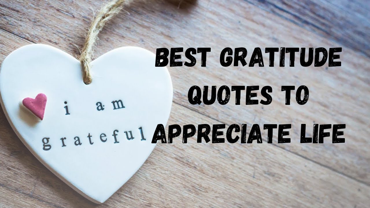 Best Gratitude Quotes to Appreciate Life - YouTube