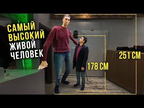 Самый высокий человек в мире (251 см)