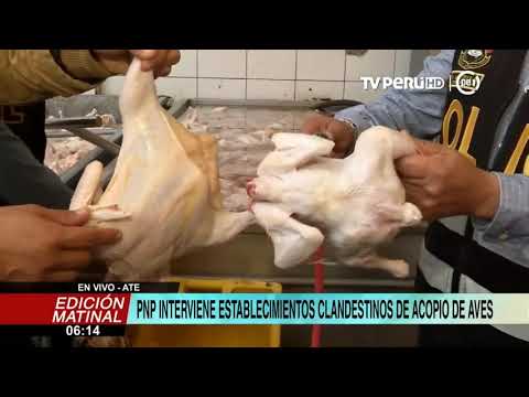 Ate: Policía interviene establecimiento donde inflaban pollos