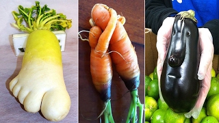 Unusually Shaped Fruits and Vegetables #1