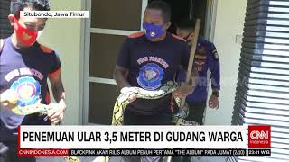 Waspada Hewan Liar Di Sekitar | REDAKSI MALAM (01/10/20)