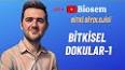 Biyoloji - Bitkilerin Yapısı ve Fizyolojisi Nedir ?  Ders Notu ve Konu Anlatımı ile ilgili video