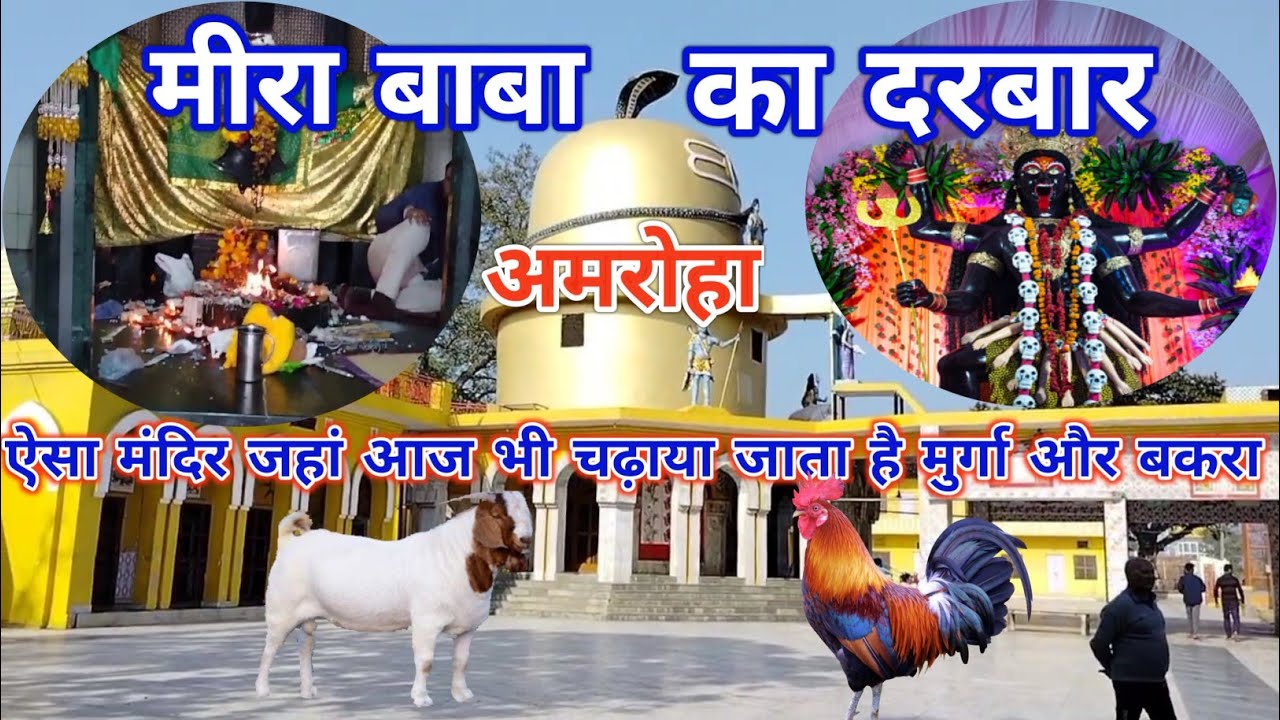 Mera baba ka sthan amroha||Amroha ka mandir||Vasudev tirth Sthal Amroha||amroha mandir