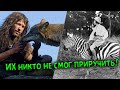 ДИКИЕ ЖИВОТНЫЕ, КОТОРЫЕ ОТКАЗАЛИСЬ ОТ ДРУЖБЫ С ЧЕЛОВЕКОМ. ПОПЫТКИ БЕЗПОЛЕЗНЫ, ИХ НИКОМУ НЕ ПРИРУЧИТЬ