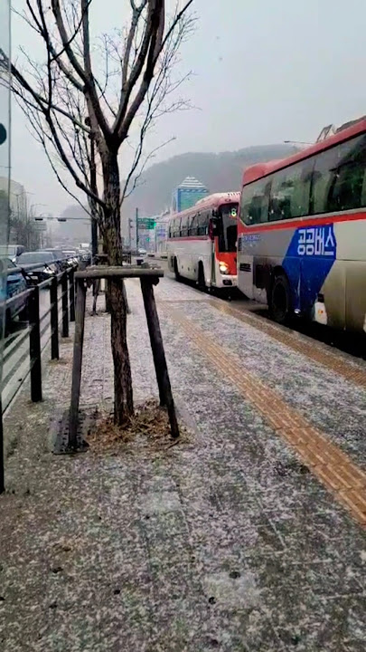 Snowing South Korea🥶 #srilanka #korean #usavlogs #dailyvlog #korean #snow #cold