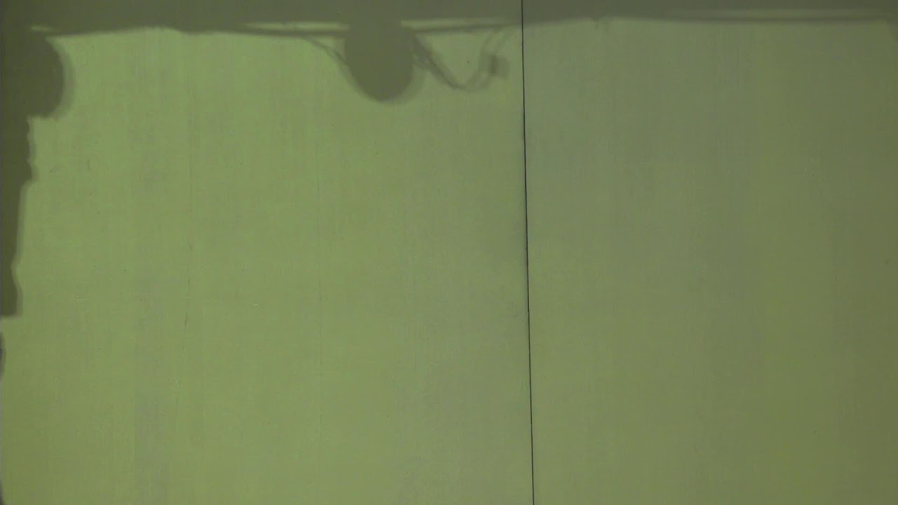 🙏🌟 Radha Gopinath Mandir Daily Live | Edison, NJ 🕉️🎶