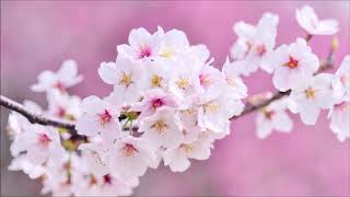 : Spring piano relaxing music, Musique relaxante piano printemps,   