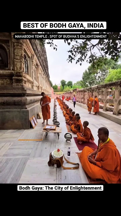 Bodh Gaya-Complete Tour | Best Of Bodh Gaya,India #shorts #bodhgaya #buddha