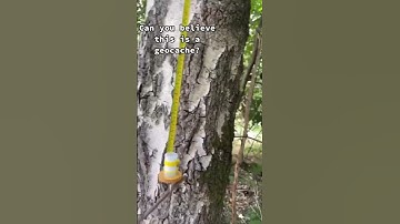 Can you believe it? 😮 #shorts