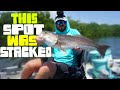 OVER-SLOT Tampa Bay Redfish On EVERY Cast - Tampa Kayak Fishing