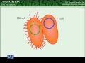 BT102 Microbiology Lecture No 46