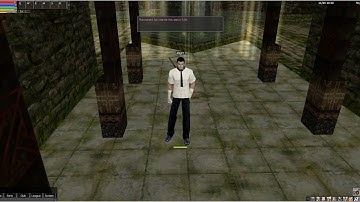 RAN Online - Reset system