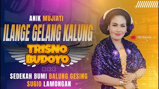 ANIK MUJIATI - ' ILANGE GELANG KALUNG ' TAYUB TRISNO BUDOYO - LIVE SEDEKAH BUMI BALONG GESING 2025
