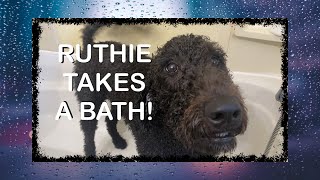 Ruthie Gets a Bath