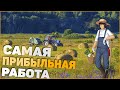 САМАЯ ПРИБЫЛЬНАЯ РАБОТА ДЛЯ НОВИЧКОВ! (GTARP:CRMP)