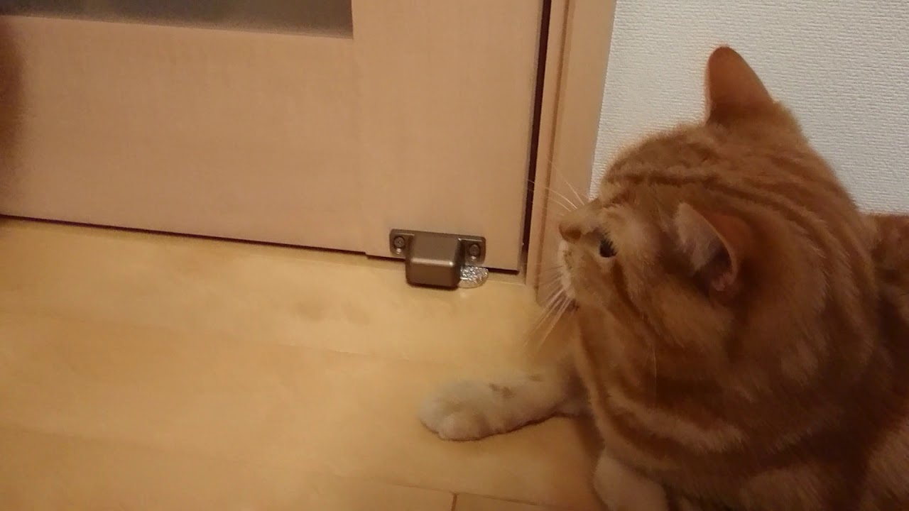 怒られる YouTube 怒られる YouTube